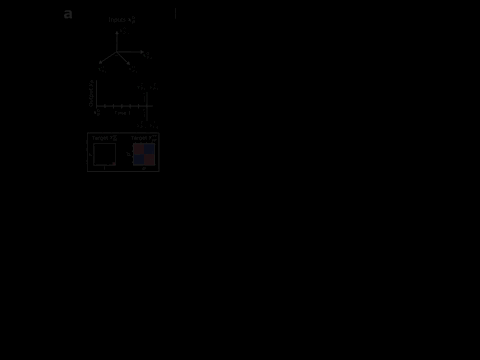 bauer.gif